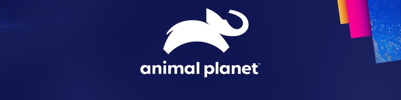 Animal Planet - image header