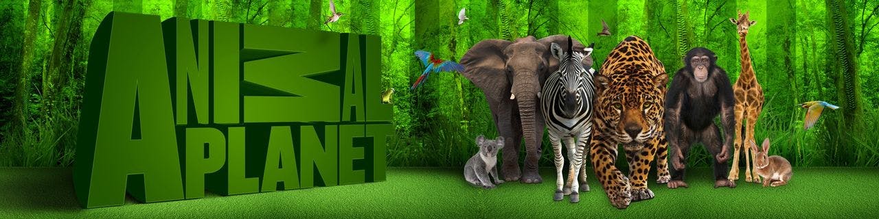 Animal Planet (Slovenia) - image header