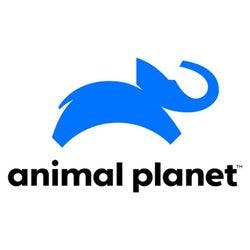 Animal Planet (Slovenia) logo