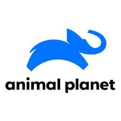 Animal Planet (Germany) logo