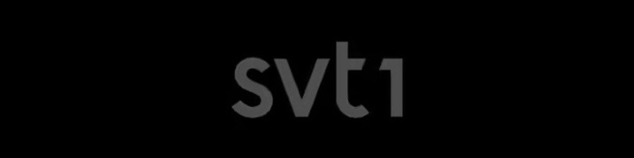 SVT1 - image header