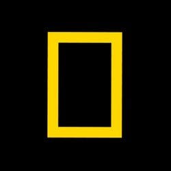 National Geographic Channel (Portugal) - channel logo