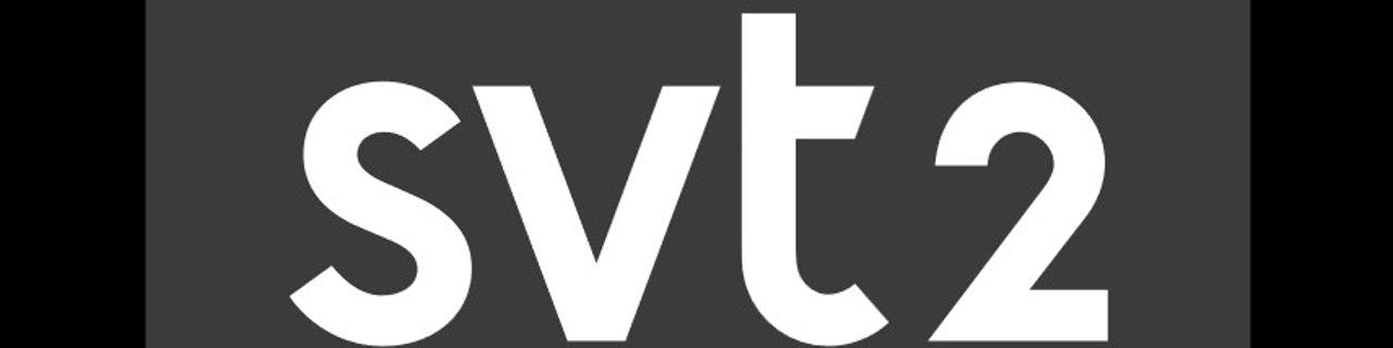 SVT2 - image header