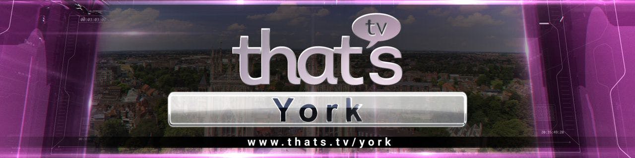 That's TV York - image header