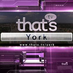 That's TV York logo