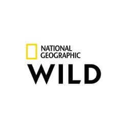 National Geographic Wild (European TV channel) logo