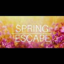 Spring Escape logo