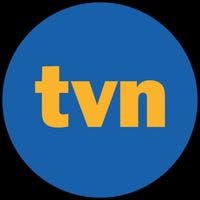 TVN Grupa Discovery - logo