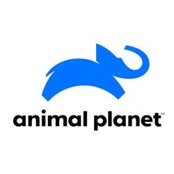 Animal Planet - channel logo
