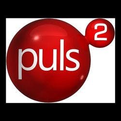 Puls 2 - channel logo