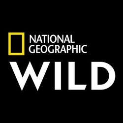 National Geographic Wild logo