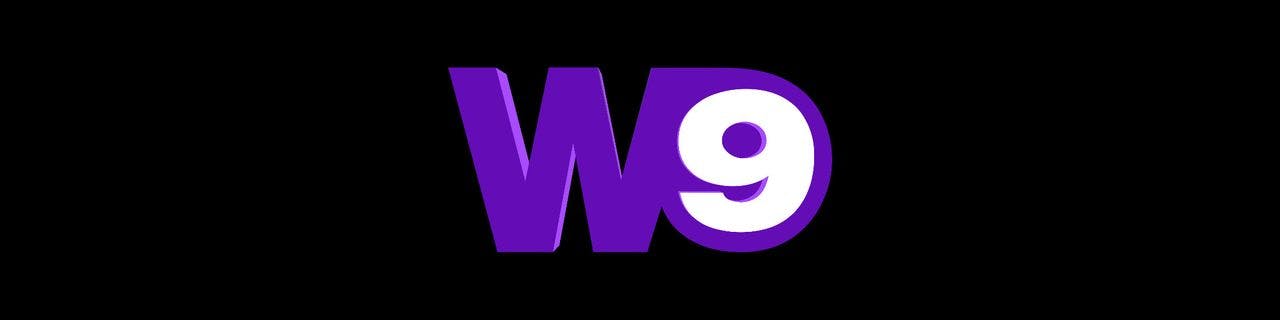 W9 (TV channel) - image header