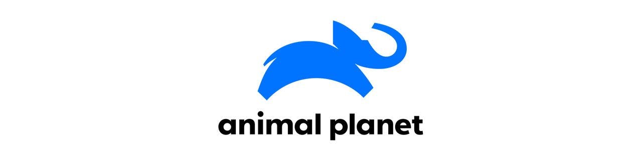 Animal Planet (Germany) - image header