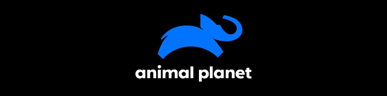 Animal Planet (UK&IE) - image header