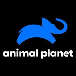 Animal Planet (UK&IE) logo